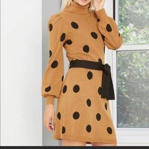 Polka Dot Sweater Dress
